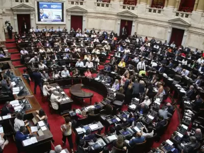 La Ley Bases se debate en la Cmara Baja