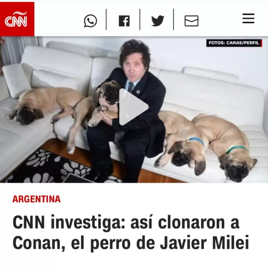 Hasta la CNN se interes sobre el enigma de los perros