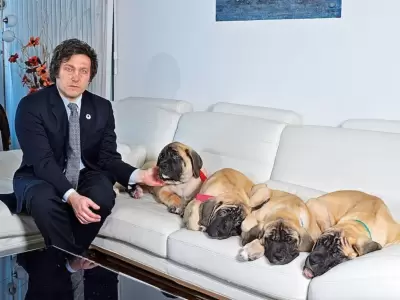 El presidente y sus cachorros